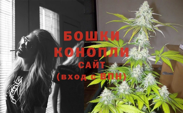 прущая мука Нея