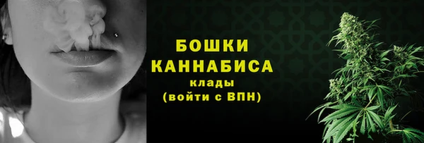прущая мука Нея