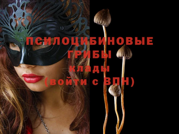 MESCALINE Нефтекумск