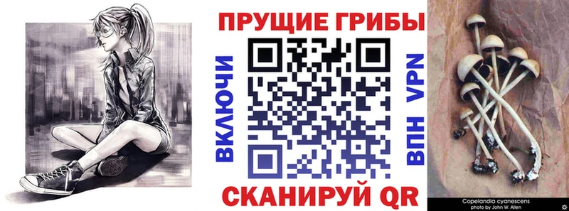 Псилоцибиновые грибы ЛСД  Купить где  Когалым 